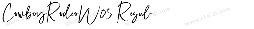 CowboyRodeoW05 Regul字体转换 CowboyRodeoW05 Regul字体转换